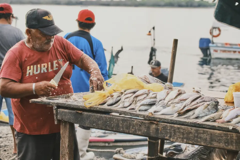 Pescadores preparando la captura del día en la costa de Sinaloa, origen del colágeno marino Fortaleza del Mar